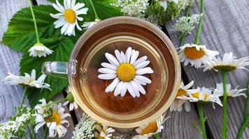 chá de camomila. flores, folhas e uma xícara com chá em um fundo de madeira. vista de cima.