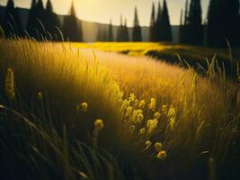 ai gerado brilhando Campos do inverno suave foco pôr do sol Prado com amarelo flores da natureza abraçar. uma sinfonia do cores caloroso inverno pôr do sol Prado com abstrato suave foco natureza harmonia. foto