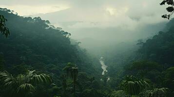 ai gerado generativo ai, amazonense selva nebuloso paisagem, tropical floresta tropical com Palma árvores foto