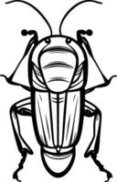 Preto e branco ilustração do uma besouro foto