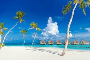 fantástico ensolarado panorama às Maldivas. luxo recorrer seascape. majestoso mar ondas coco Palma árvores areia brilho do sol céu. beleza paraíso de praia popular destino. melhor verão período de férias viagem fundo foto