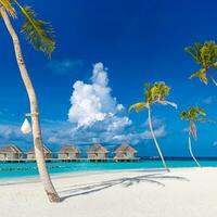 fantástico ensolarado panorama às Maldivas. luxo recorrer seascape. majestoso mar ondas coco Palma árvores areia brilho do sol céu. beleza paraíso de praia popular destino. melhor verão período de férias viagem fundo foto