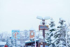 asahiyama jardim zoológico dentro inverno temporada. ponto de referência e popular para turistas atrações dentro Asahikawa, Hokkaido, Japão. Asahikawa, Japão, 3 fevereiro 2023 foto