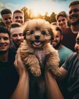 ai gerado Diversão cachorro homem pessoa animal animal fofa Relva retrato engraçado face filhote canino adulto verão foto