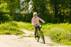 retrato do uma pequeno menina em uma bicicleta dentro verão parque ao ar livre foto