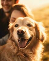 ai gerado mulher cachorro adulto parque natureza Diversão retriever retrato jovem sorrir feliz verão ao ar livre foto