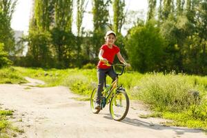 retrato do uma pequeno menina em uma bicicleta dentro verão parque ao ar livre foto