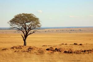 ai gerado Relva cenário safári nacional parque panorama Tanzânia reserva animais selvagens africano selvagem foto