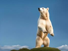 ai gerado fofa Urso em a natureza fundo. foto