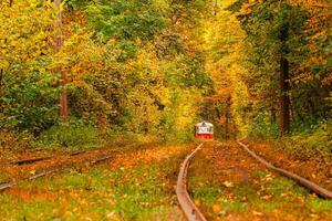 outono floresta através que a velho eléctrico passeios Ucrânia foto