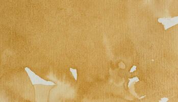 textura do uma branco Folha do café encharcado, cheio quadro, Armação foto