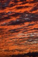 uma vermelho céu com nuvens foto