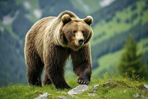 ai gerado Castanho Urso comovente em a verde Prado dentro primavera natureza. ai gerado foto