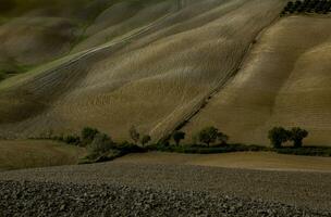 colhido Campos e prados panorama dentro toscana, Itália. ondulado país cenário às outono pôr do sol. arável terra pronto para a agrícola temporada. foto