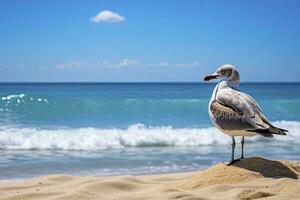 ai gerado gaivota em a de praia debaixo azul céu. foto