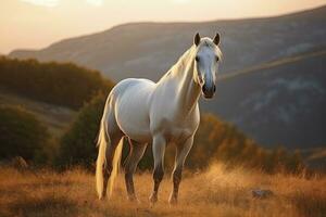 ai gerado branco cavalo ou égua dentro a montanhas às pôr do sol. ai gerado foto