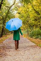 mulher segurando guarda-chuva e outono folhas enquanto caminhando dentro a parque. foto