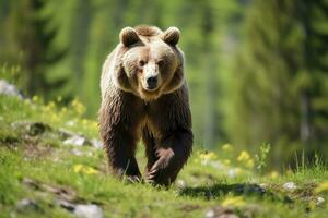 ai gerado Castanho Urso comovente em a verde Prado dentro primavera natureza. ai gerado foto