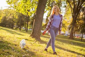 lindo mulher caminhando com dela maltês cachorro dentro a parque. foto