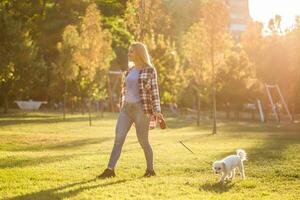 lindo mulher caminhando com dela maltês cachorro dentro a parque. foto