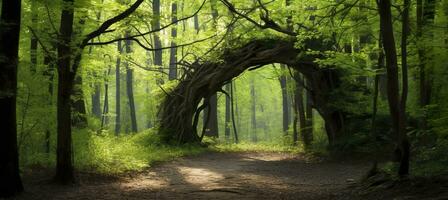 ai gerado natural arco em forma de galhos dentro a floresta. ai gerado foto