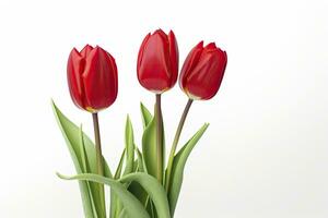 ai gerado vermelho tulipas isolado em branco fundo. ai gerado foto