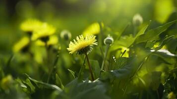 ai gerado a verde Primavera manhã. generativo ai foto