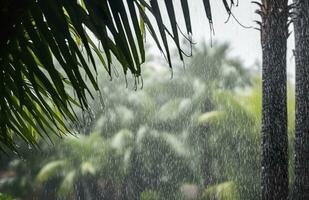 ai gerado chuva dentro a trópicos durante a baixo estação ou monção temporada. pingos de chuva dentro uma jardim. generativo ai foto