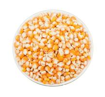 saudável seco milho sementes em branco fundo foto