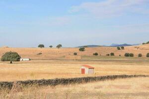 uma campo com uma pequeno galpão dentro a meio do isto foto