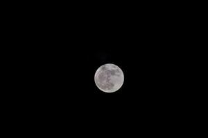 a lua é visto dentro a Sombrio céu foto