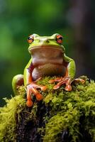 ai gerado verde árvore rã sentado em musgo dentro a floresta tropical. animais selvagens cena a partir de natureza. foto