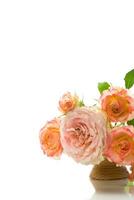 ramalhete do lindo rosas isolado em branco foto