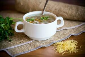 cozinhou quente sopa com Macarrão e legumes foto