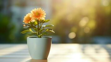 ai gerado flor Panela em uma escritório mesa, suculento cacto vaso, generativo ai foto