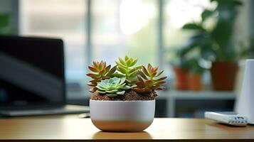 ai gerado flor Panela em uma escritório mesa, suculento cacto vaso, generativo ai foto