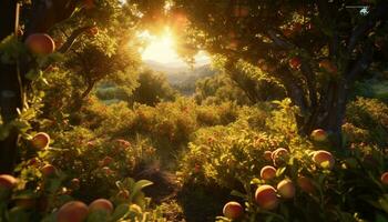 ai gerado natureza beleza dentro verão verde árvores, pôr do sol, folhas, luz solar, floresta gerado de ai foto