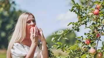uma jovem mulher arranca a maçã a partir de uma árvore e come isto. foto