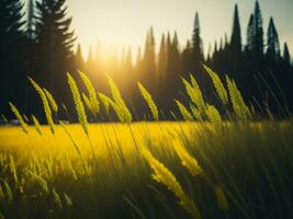 ai gerado brilhando Campos do inverno suave foco pôr do sol Prado com amarelo flores da natureza abraçar. uma sinfonia do cores caloroso inverno pôr do sol Prado com abstrato suave foco natureza harmonia. foto