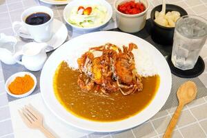 profundo frito suave Concha caranguejo com Curry arroz foto