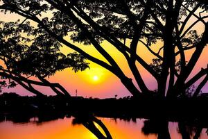 silhueta do a galhos árvore em a pôr do sol reflete a água dentro a lago. foto