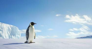 ai gerado pinguim em pé dentro Antártica olhando para dentro a azul céu. ai gerado foto