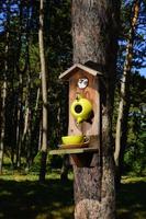 um comedouro para pássaros na forma de um bule e uma xícara .o comedouro é instalado em uma árvore no parque. cuidado de aves selvagens, casa e comida. ninho de pássaro na primavera foto