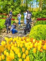 tulipas amarelas coloridas no parque keukenhof, lisse, holanda, 2014 foto