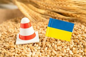 grãos de trigo com bandeira da ucrânia, exportação comercial e conceito de economia. foto