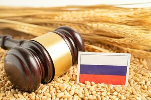 grãos de trigo com bandeira da rússia, exportação comercial e conceito de economia. foto
