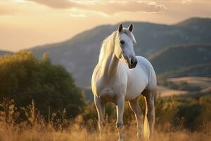 ai gerado branco cavalo ou égua dentro a montanhas às pôr do sol. ai gerado foto