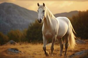 ai gerado branco cavalo ou égua dentro a montanhas às pôr do sol. ai gerado foto