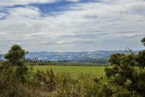 Visão em a rural campo do província lugo dentro galiza, Espanha. foto