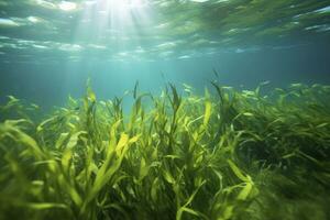 ai gerado embaixo da agua Visão do uma grupo do solo oceânico com verde algas marinhas. ai gerado foto